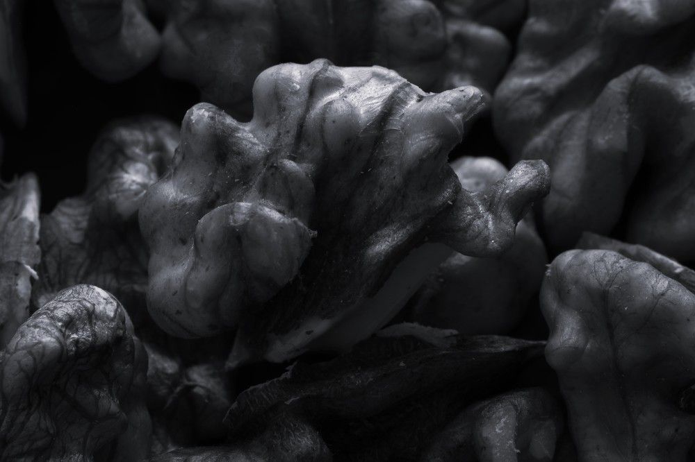 Photograph by Владимир Грибков