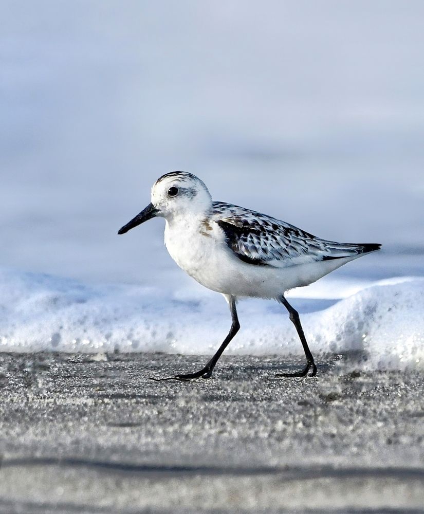 Photograph by George S George