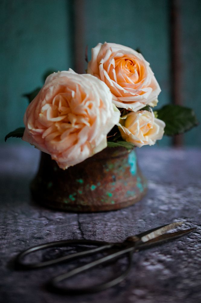 Photograph by Evelina Petkova