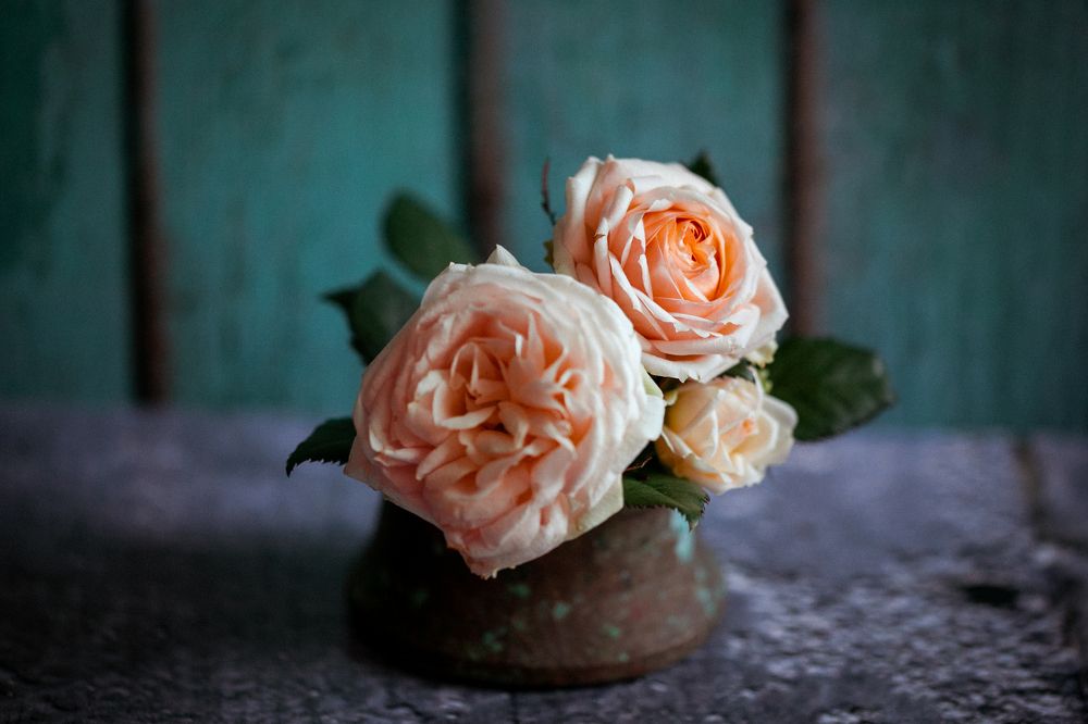 Photograph by Evelina Petkova