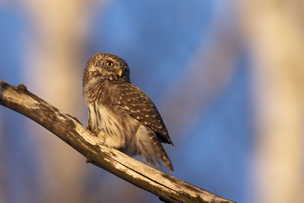 Photograph by Денис Пронин