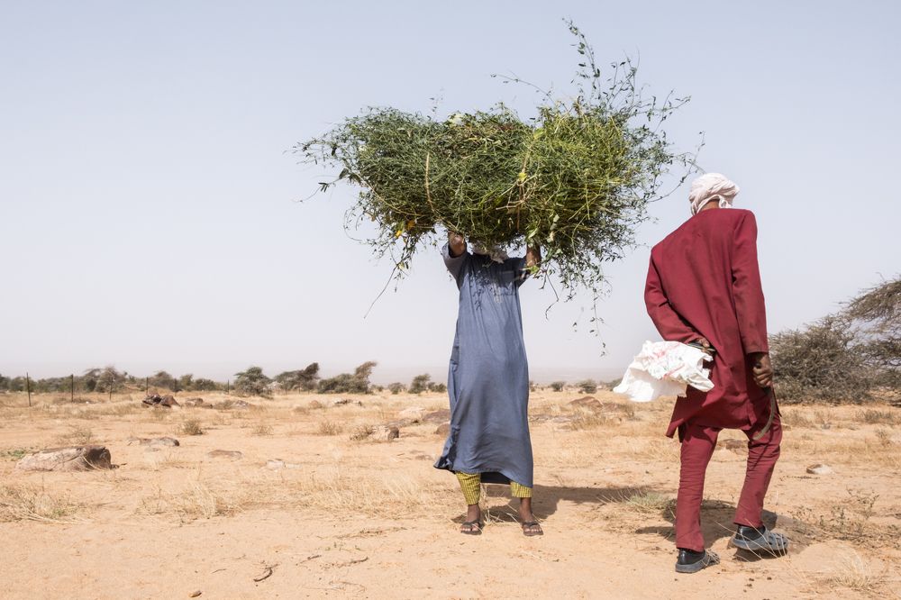 Mauritania on the road