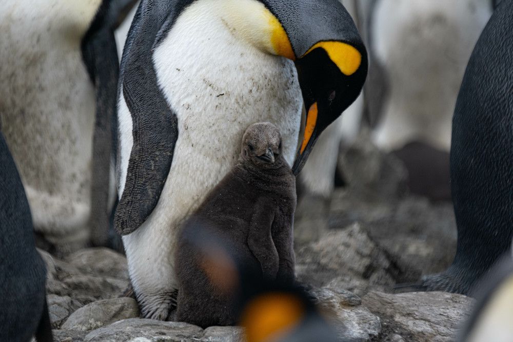 Photograph by Plaza Pamela