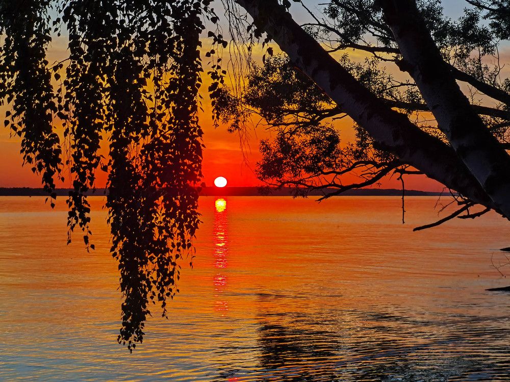 Photograph by Юлия