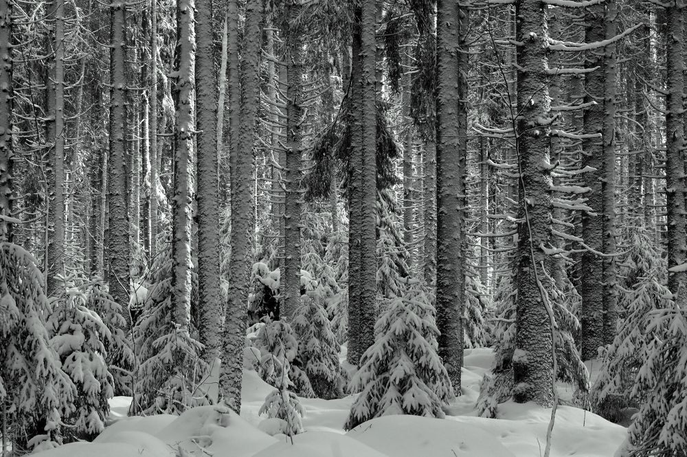 Photograph by Унку Юрий