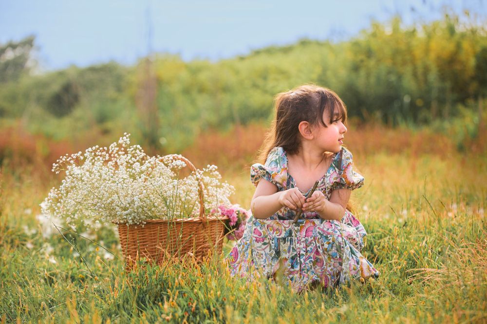 Photograph by goldis gholami