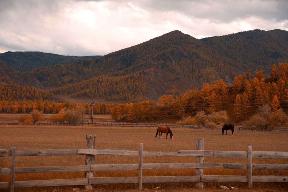 Горный Алтай