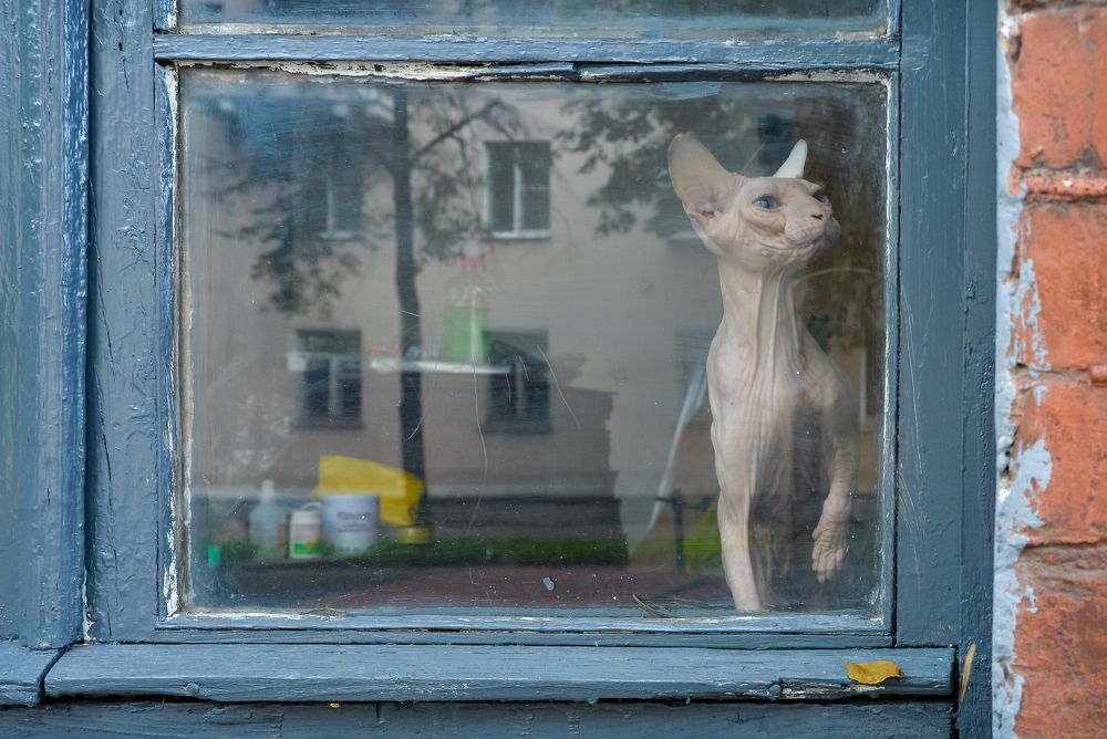 Photograph by Olga Mendosa