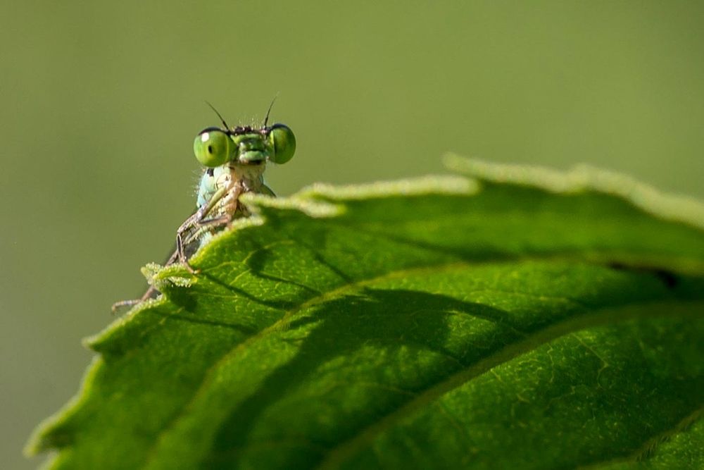 Photograph by Юрий Яковлевич