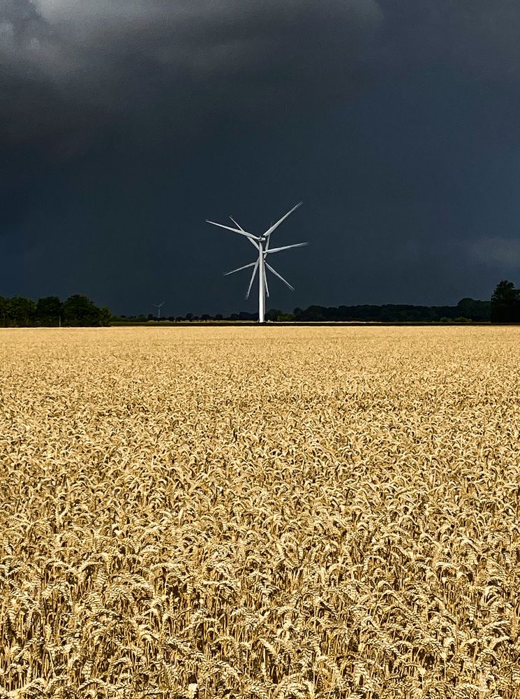 Photograph by Marina Odintsova