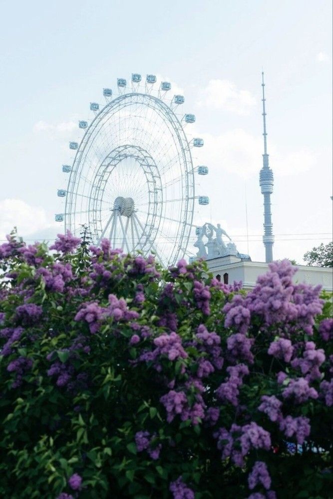 Photograph by Евгений Никонов