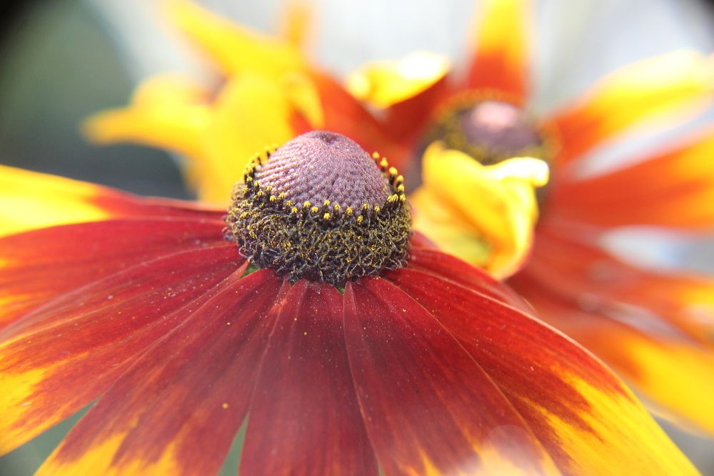 Photograph by Yordanka Vasileva