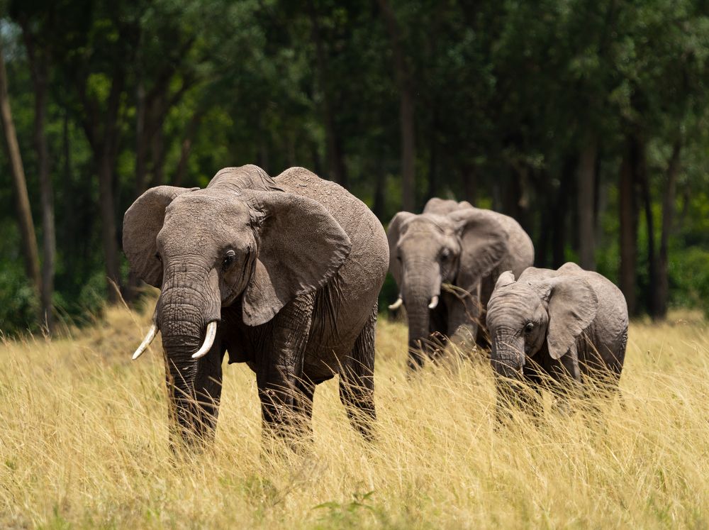 Photograph by jayant mahato