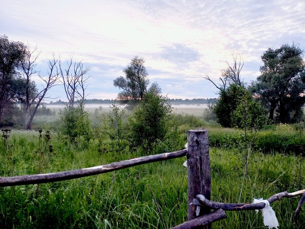 Photograph by Яна