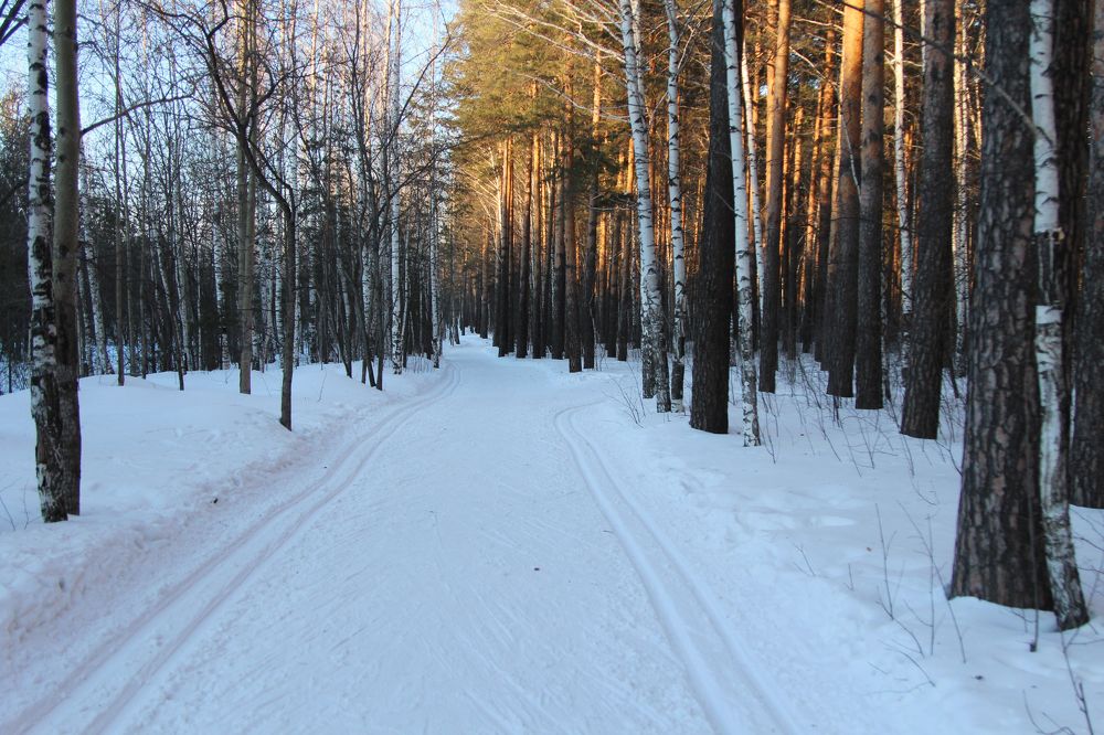 Photograph by Баженова Наталья