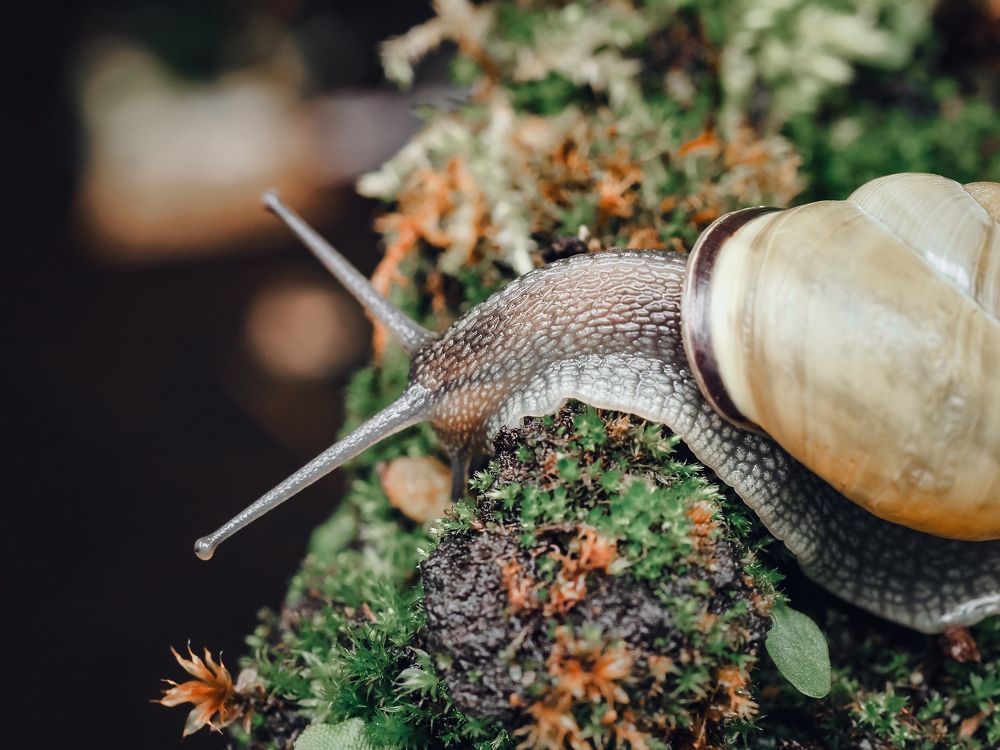 Photograph by Протченко Ирина