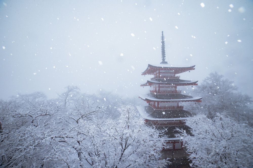 Photograph by Quang Dieu Le