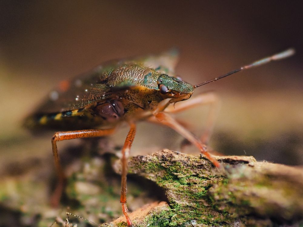 Photograph by Протченко Ирина