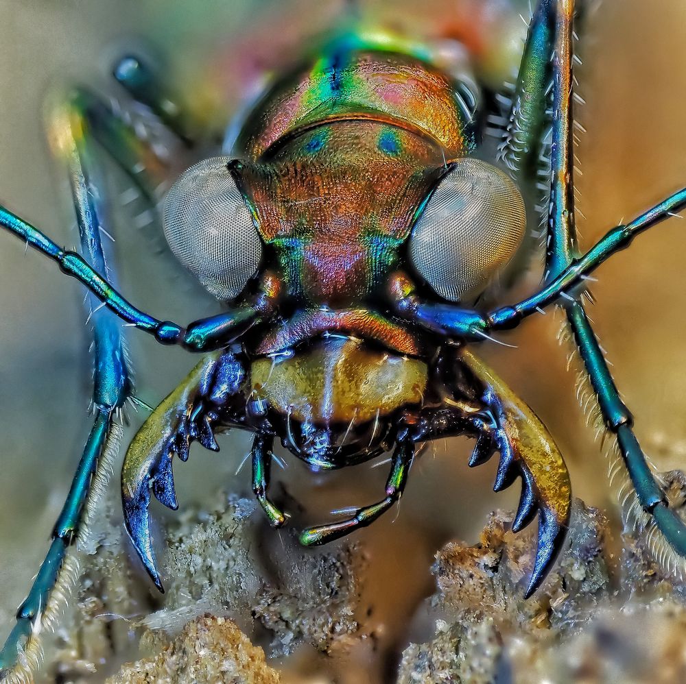 Photograph by Савчук Анатолий