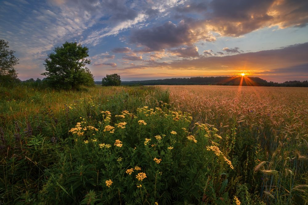 Photograph by Марина Мурашова