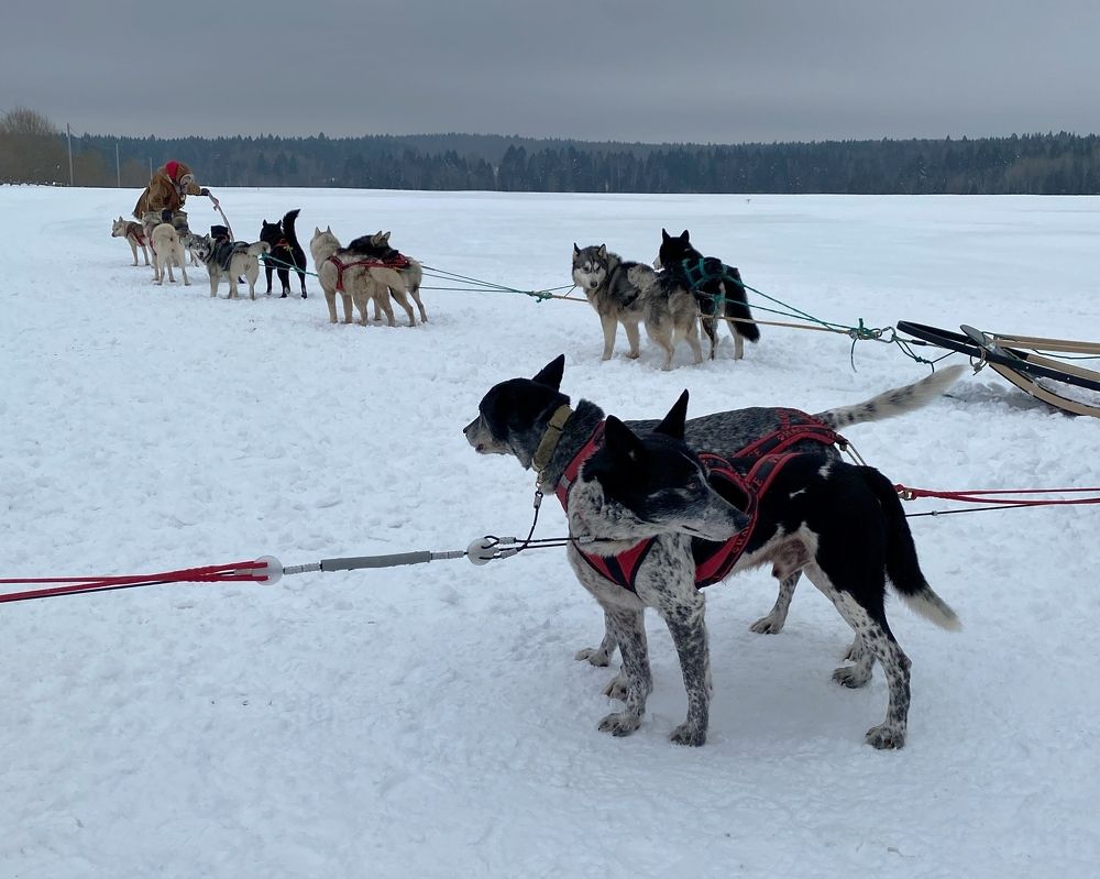 Фотография автора Мария Жданова