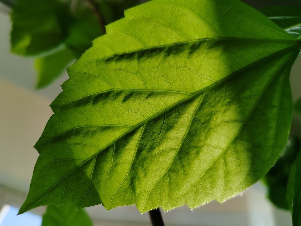 Photograph by Калинина Анастасия