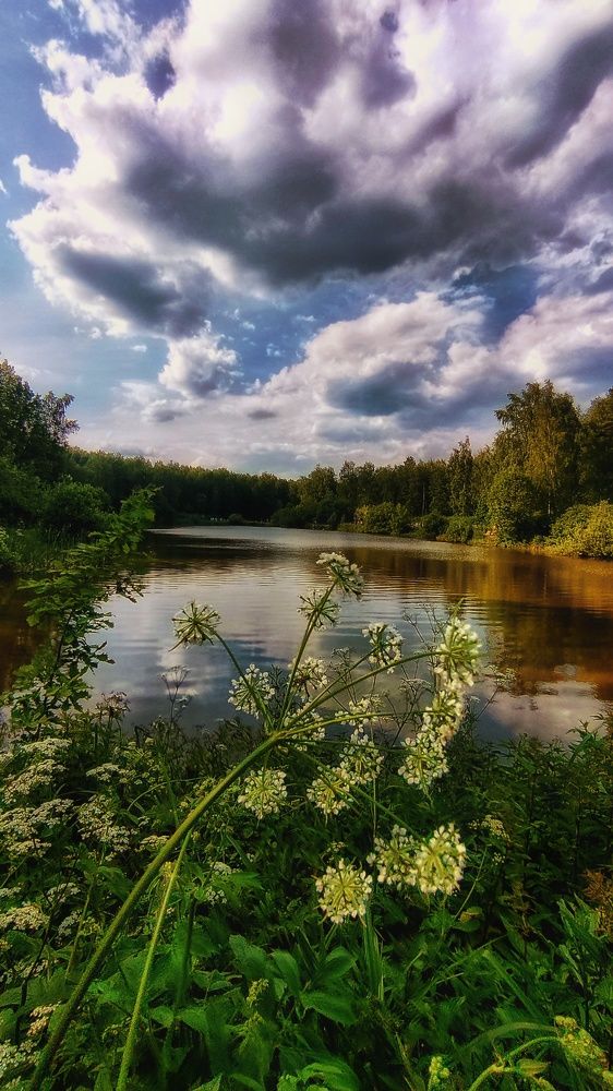 Photograph by Ирина Горбач