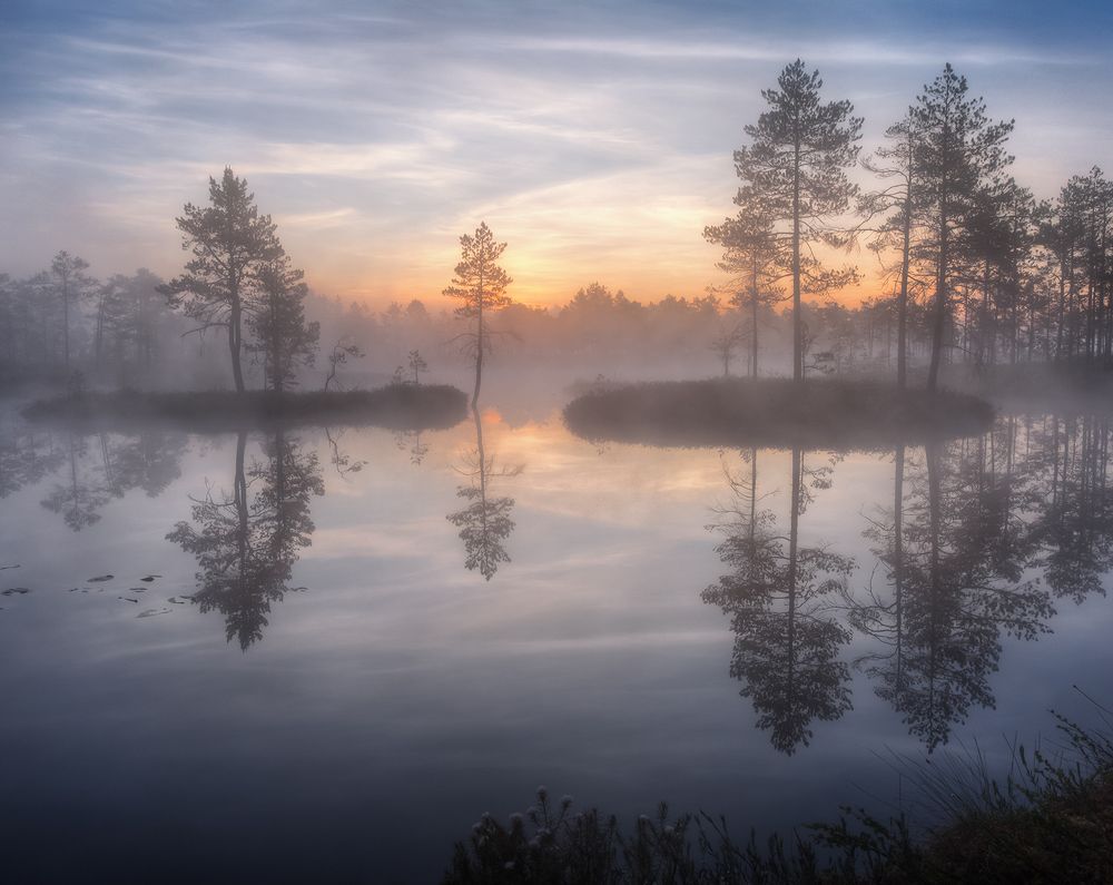 ... начало лета ...