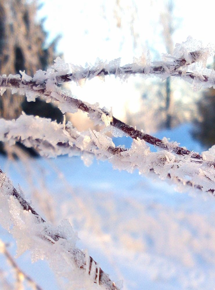 Photograph by Евгений Артемьев