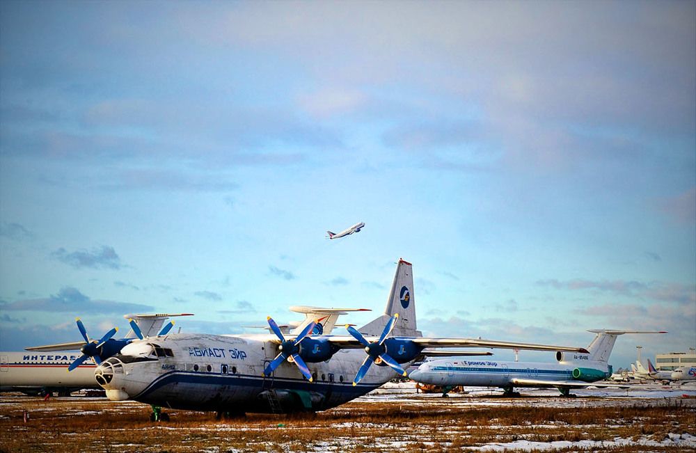 Photograph by v Stark