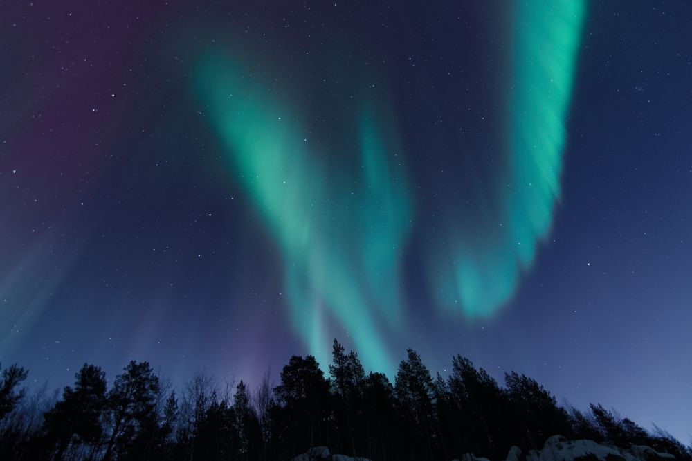 Фотография автора Андрей Русских