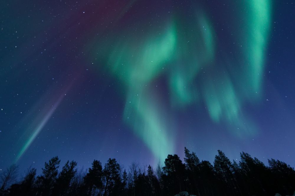 Фотография автора Андрей Русских