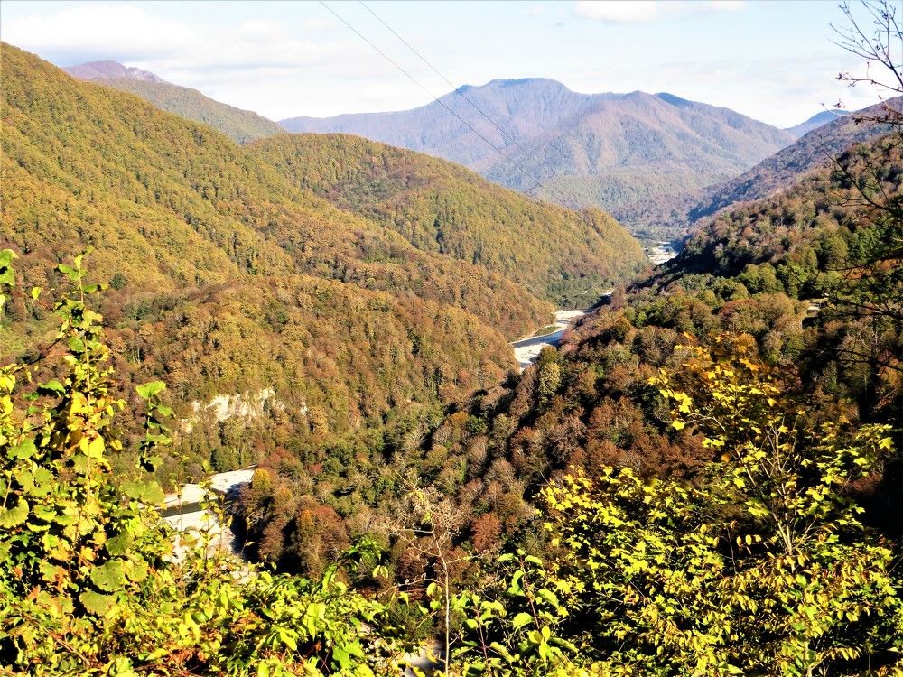 Photograph by Галина