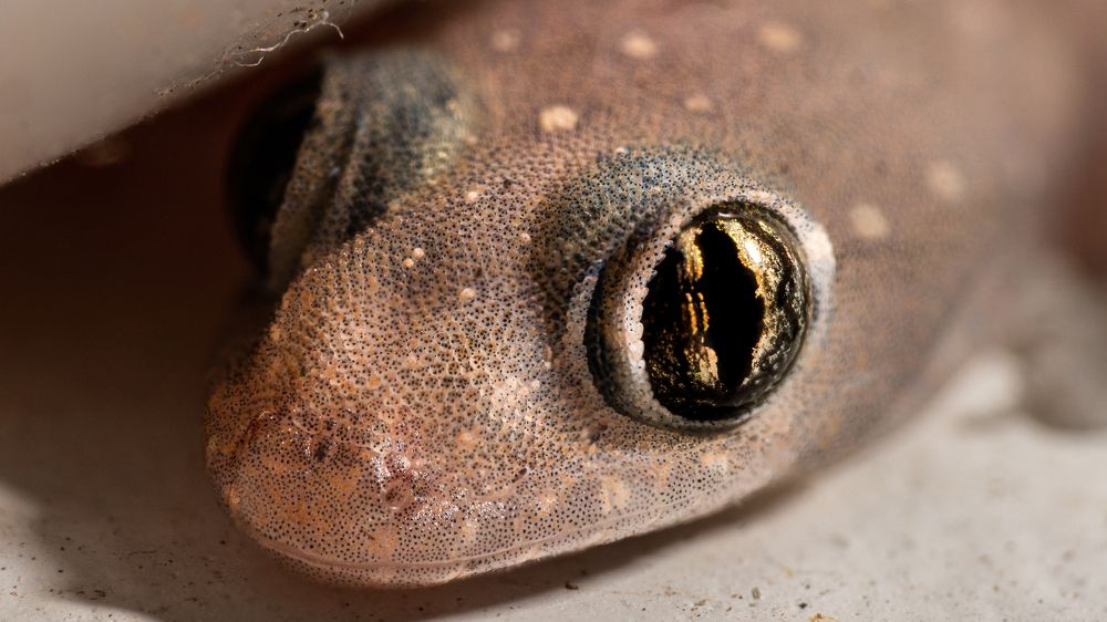 Photograph by Sonuprakash