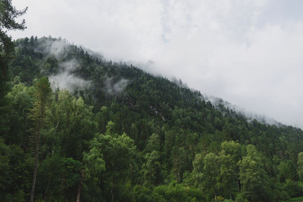 Photograph by Екатерина Шугаева