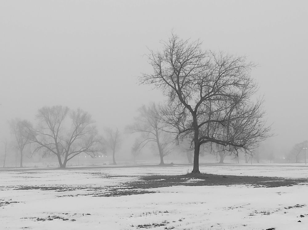 Photograph by Дзен Сергей