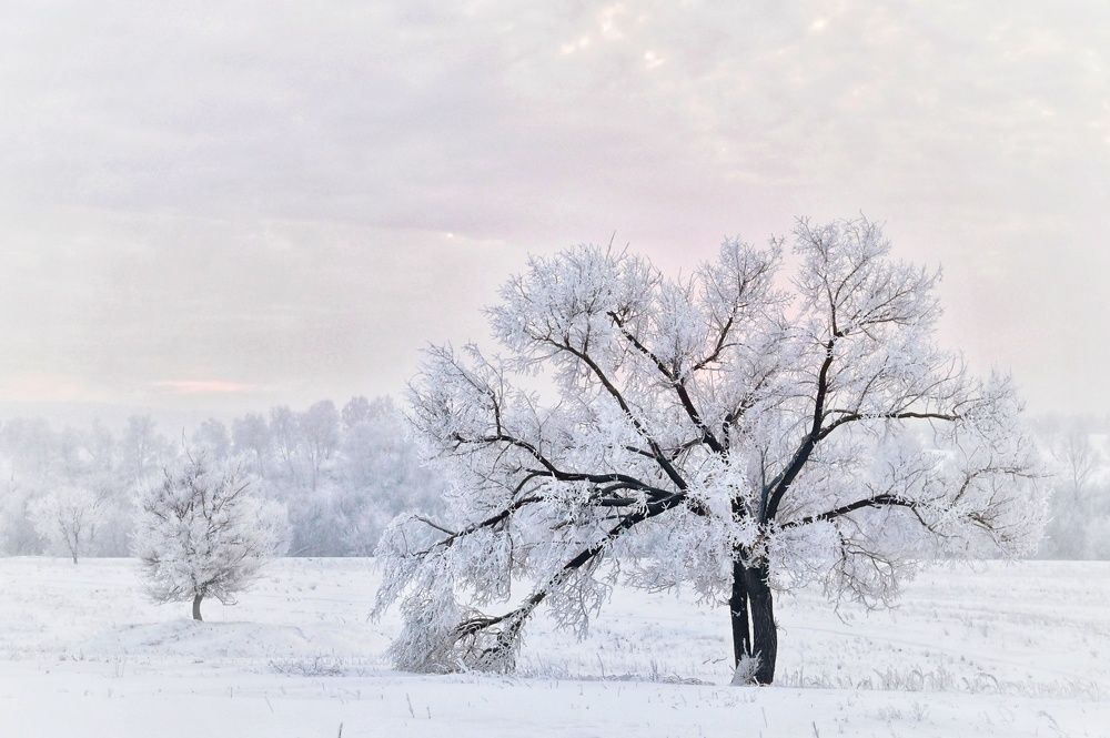 Photograph by Юрий Гау