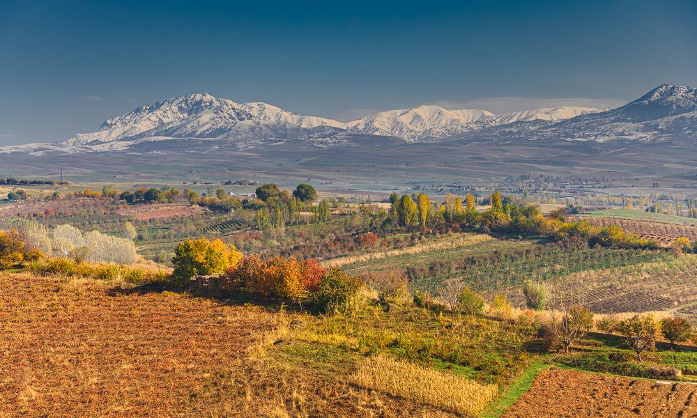 Photograph by Исаков Дмитрий