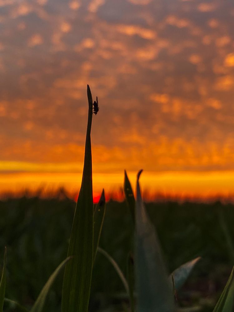 Photograph by Александра Сафронова