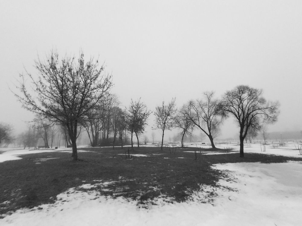 Photograph by Дзен Сергей