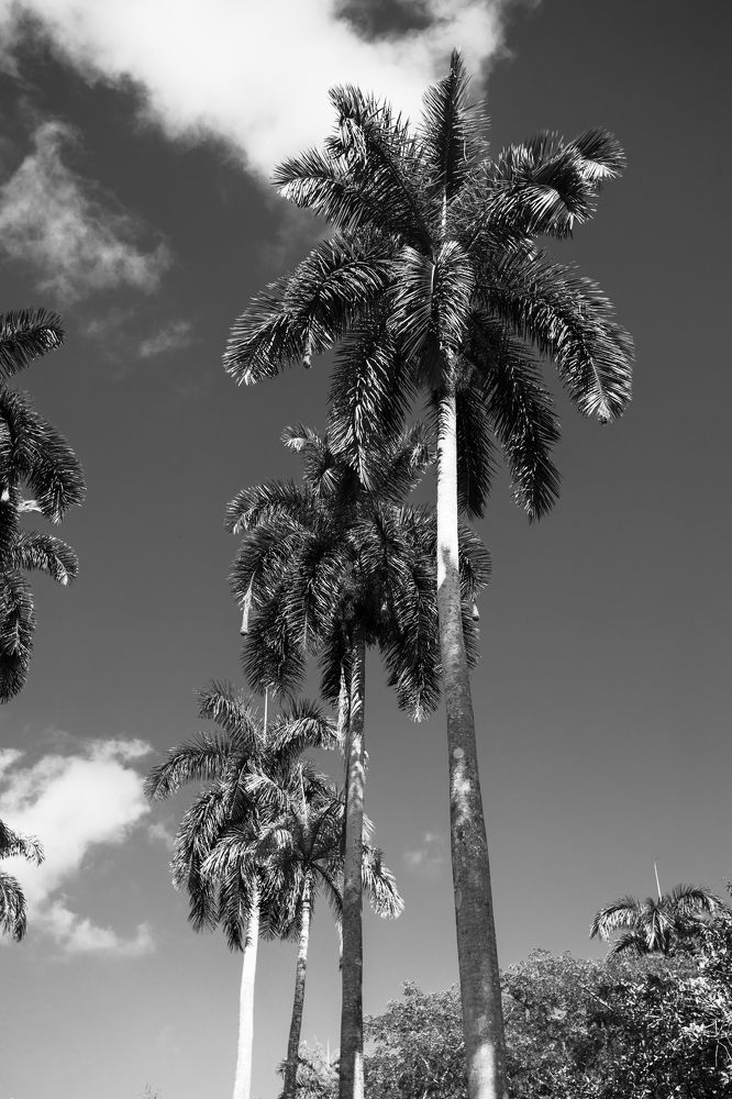 Photograph by Gabriel Cusmir