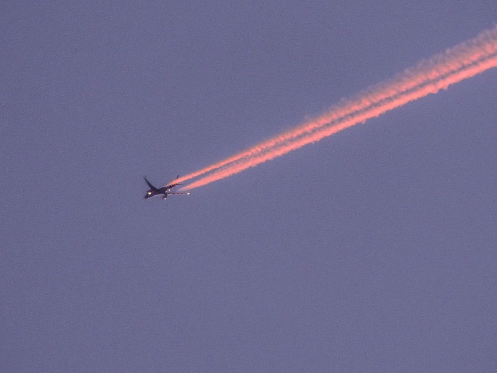 Photograph by Meire Costa