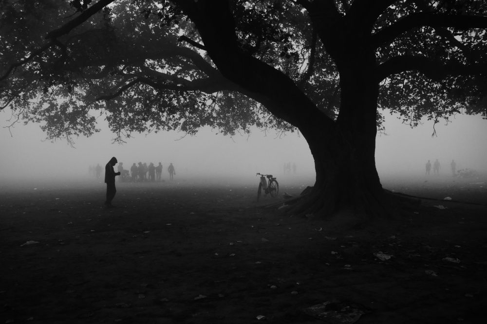 A foggy winter morning