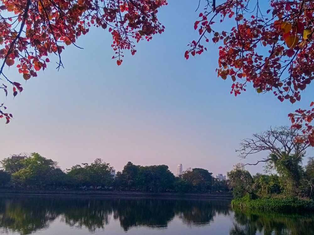 Photograph by Debtanu Roy