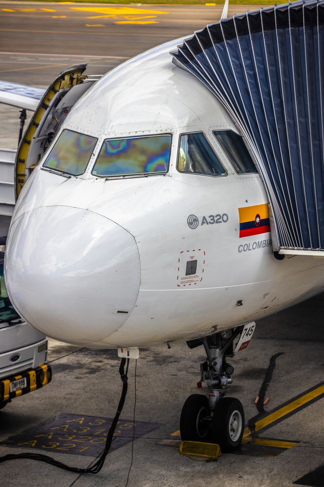 Photograph by Gabriel Cusmir