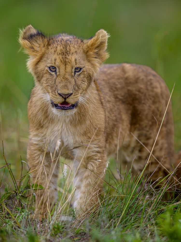 Photograph by Пупонин Сергей