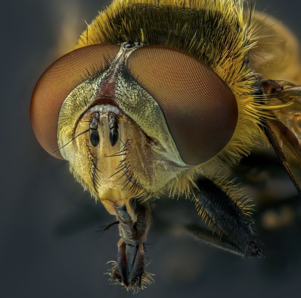 Photograph by Armen  Maitesian