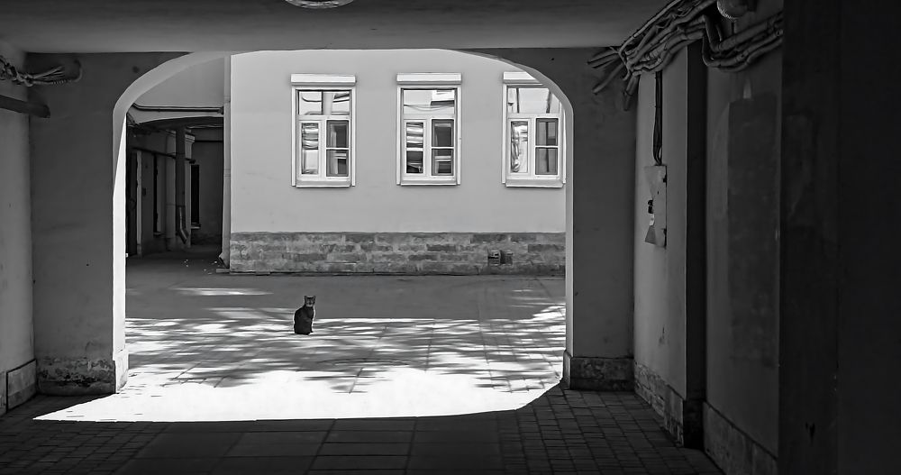 Photograph by Ольга Левакова