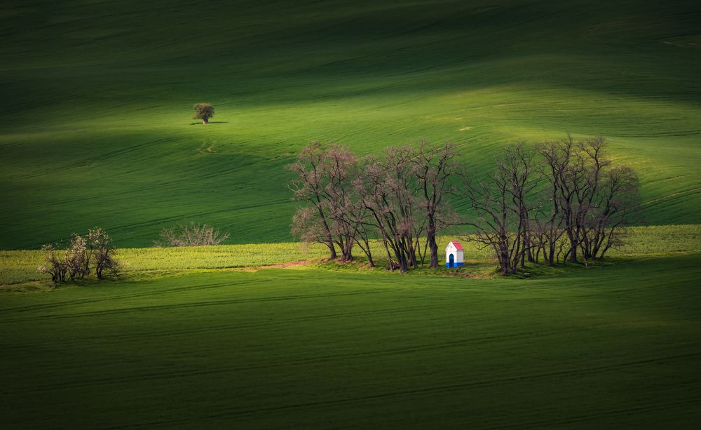 Moravian Tuscany