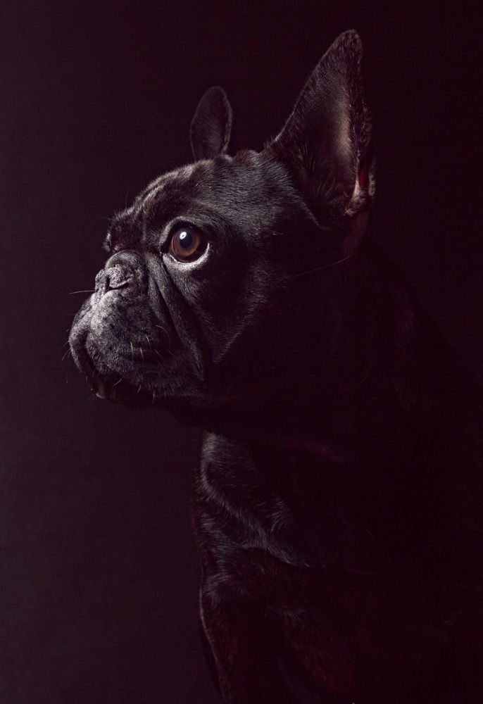 Photograph by Анна Васильева